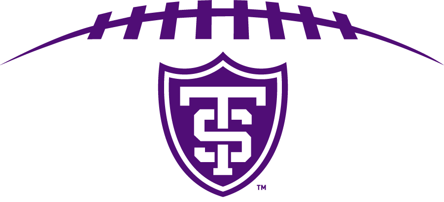St. Thomas Tommies 2009-Pres Secondary Logo diy iron on heat transfer